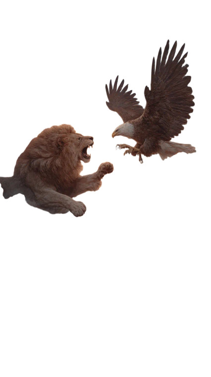 Lion Vs Eagle V2 Vinyl Car Decal Sticker – Waterproof & UV-Resistant 8"