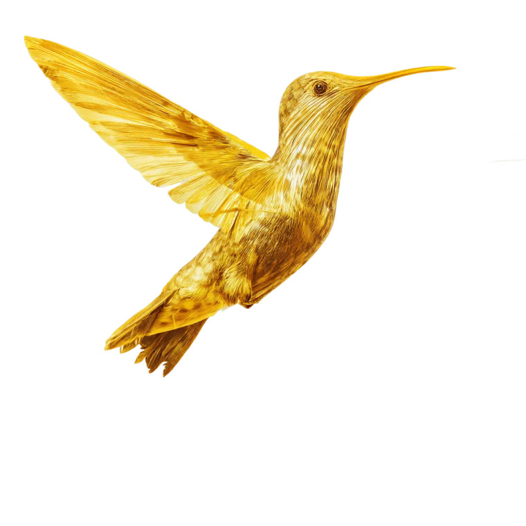Golden Hummingbird Vinyl Car Decal Sticker – Waterproof & UV-Resistant 8"