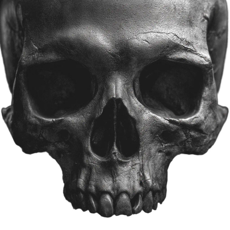 Detailed Skull Vinyl Car Decal Sticker – Waterproof & UV-Resistant 8"