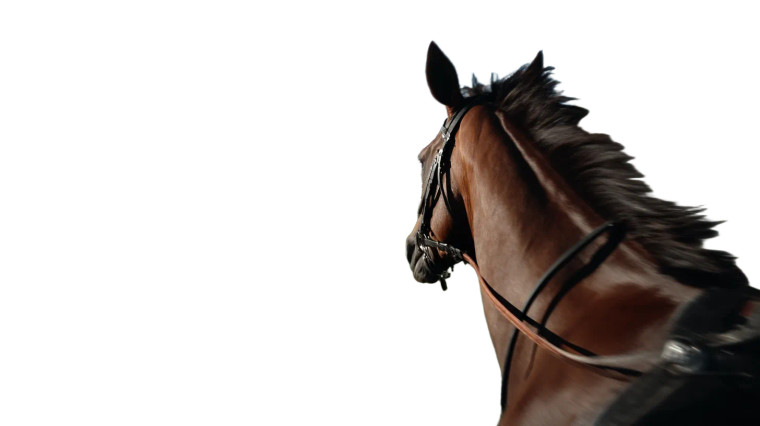 Race Horse Running Vinyl Car Decal Sticker – Waterproof & UV-Resistant 8"