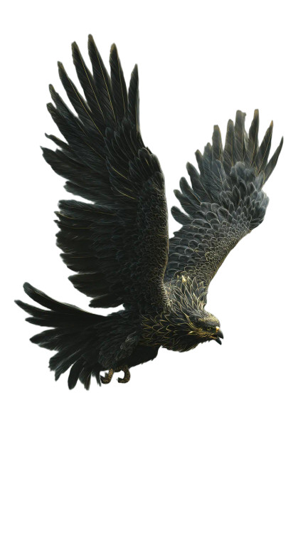 Majestic Black Phoenix V2 Vinyl Car Decal Sticker – Waterproof & UV-Resistant 8"