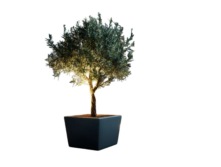 Olive Tree Night Vinyl Car Decal Sticker – Waterproof & UV-Resistant 8"