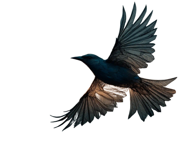 Flying Bird Outline Vinyl Car Decal Sticker – Waterproof & UV-Resistant 8"