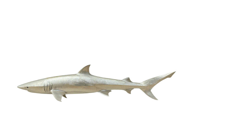 Shark-Human Hybrid Vinyl Car Decal Sticker – Waterproof & UV-Resistant 8"