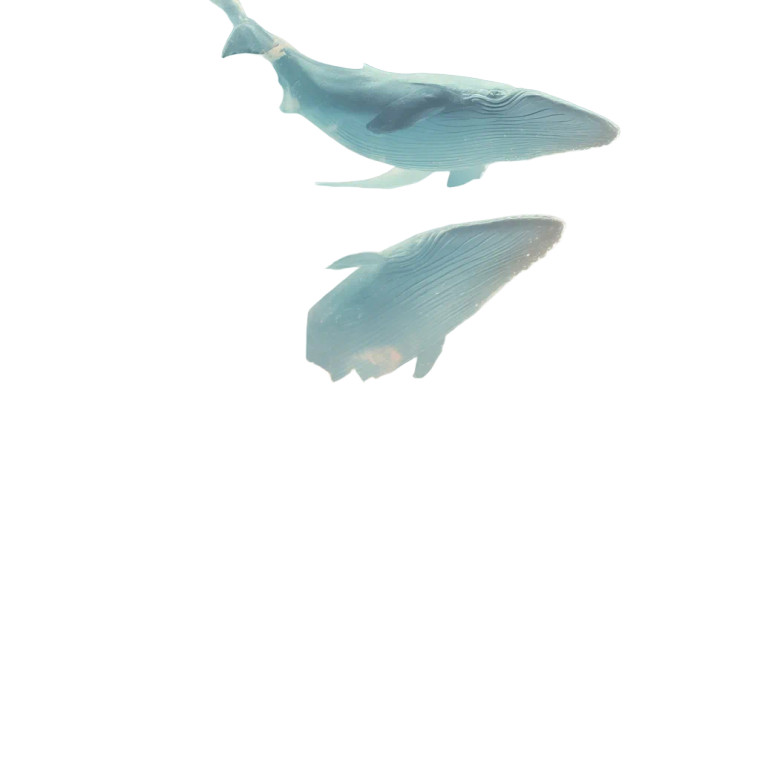 Floating Whales City Vinyl Car Decal Sticker – Waterproof & UV-Resistant 8"