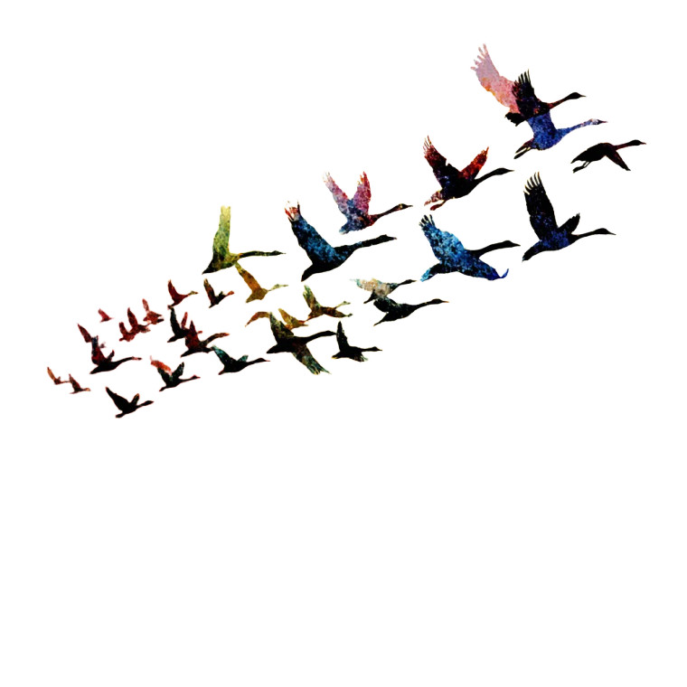 Birds In Formation Vinyl Car Decal Sticker – Waterproof & UV-Resistant 8"
