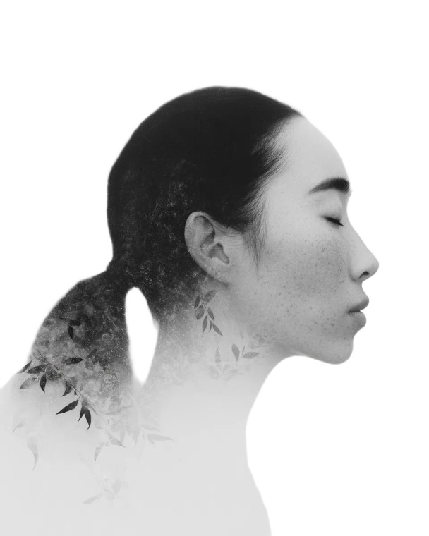 Surreal Botanical Portrait V4 Vinyl Car Decal Sticker – Waterproof & UV-Resistant 8"