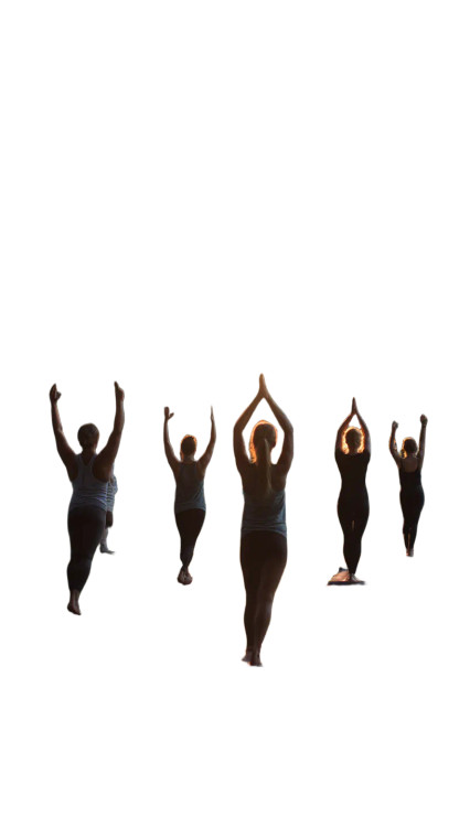 Pilates In Park Vinyl Car Decal Sticker – Waterproof & UV-Resistant 8"