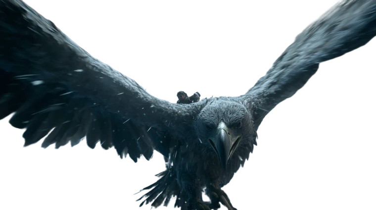 Giant Eagle Flight Vinyl Car Decal Sticker – Waterproof & UV-Resistant 8"