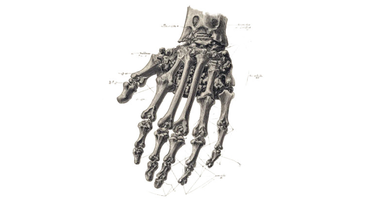 Human Hand Drawing V2 Vinyl Car Decal Sticker – Waterproof & UV-Resistant 8"