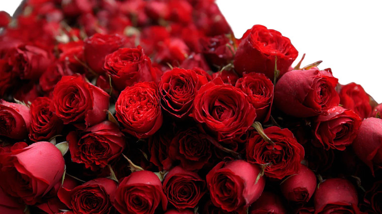 Red Roses V2 Vinyl Car Decal Sticker – Waterproof & UV-Resistant 8"
