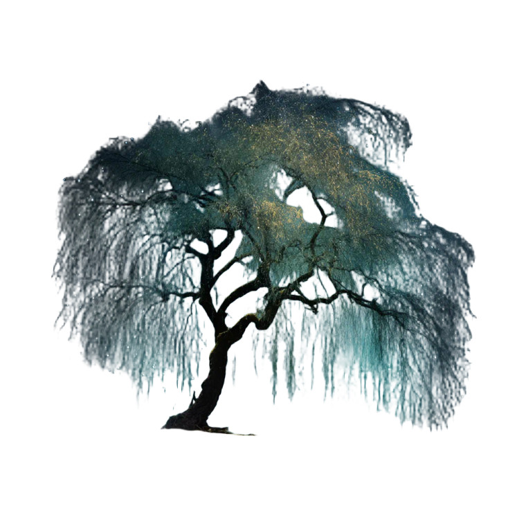 Starry Willow Vinyl Car Decal Sticker – Waterproof & UV-Resistant 8"