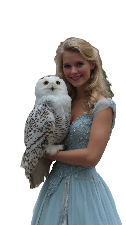 Enchanted Fairy Tale Vinyl Car Decal Sticker – Waterproof & UV-Resistant 8"