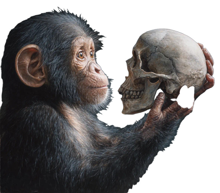 Chimpanzee With Skull Vinyl Car Decal Sticker – Waterproof & UV-Resistant 8"