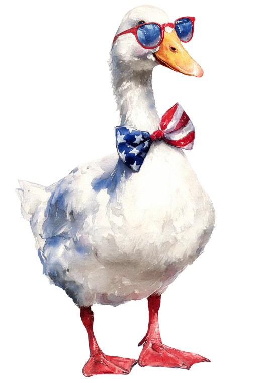 Patriotic Goose Clipart Vinyl Car Decal Sticker – Waterproof & UV-Resistant 8"
