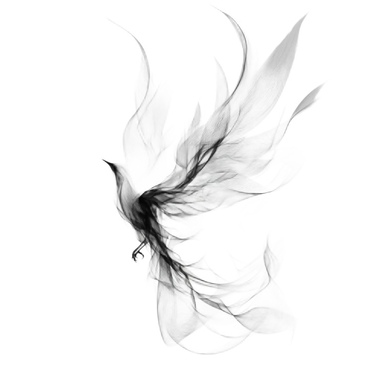 Abstract Phoenix Bird Vinyl Car Decal Sticker – Waterproof & UV-Resistant 8"