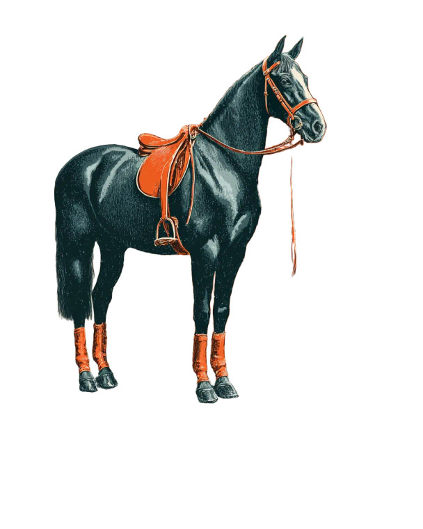 Stylized Hermès Horse Vinyl Car Decal Sticker – Waterproof & UV-Resistant 8"