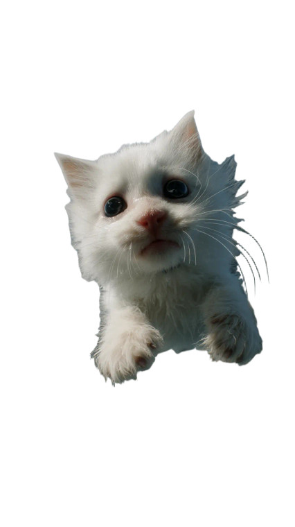 Falling Fluffy Kitten Vinyl Car Decal Sticker – Waterproof & UV-Resistant 