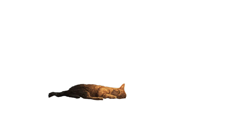 Sleeping Cat V10 Vinyl Car Decal Sticker – Waterproof & UV-Resistant 