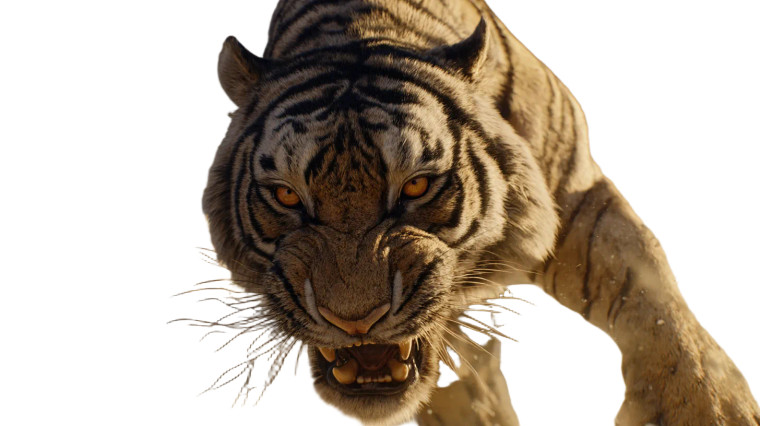 Fierce Roman Tiger Vinyl Car Decal Sticker – Waterproof & UV-Resistant 