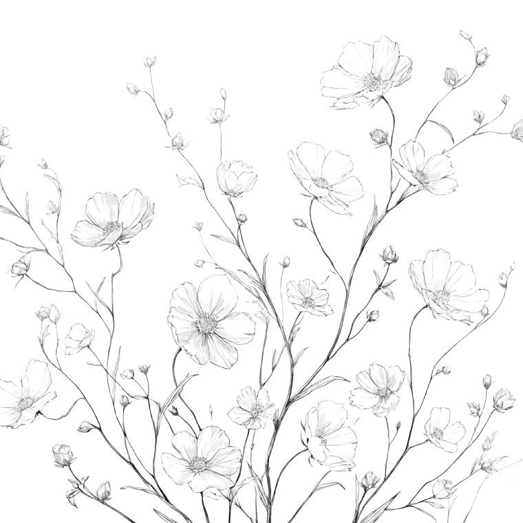 Botanical Line Art Vinyl Car Decal Sticker – Waterproof & UV-Resistant 