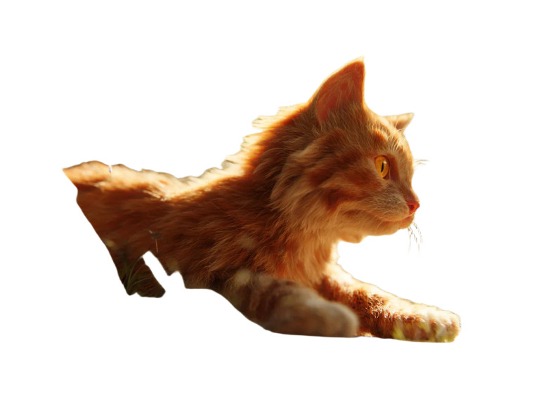 Cozy Orange Cat Vinyl Car Decal Sticker – Waterproof & UV-Resistant 