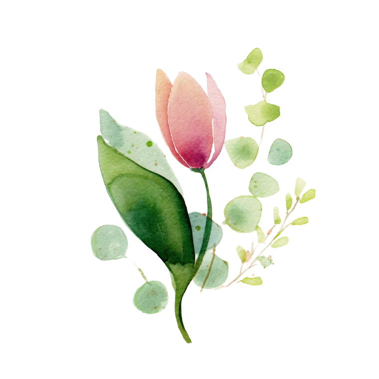 Minimalist Tulip Vinyl Car Decal Sticker – Waterproof & UV-Resistant 