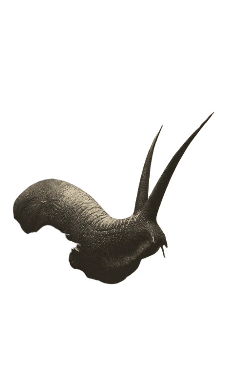 King Giant Slugs Vinyl Car Decal Sticker – Waterproof & UV-Resistant 