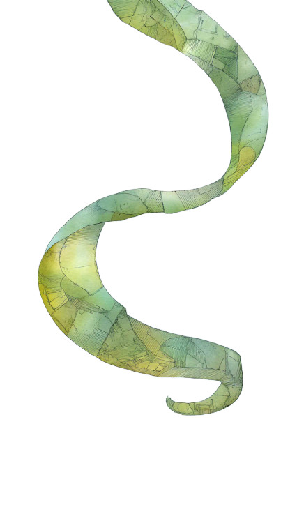 Cosmic Serpent Vinyl Car Decal Sticker – Waterproof & UV-Resistant 