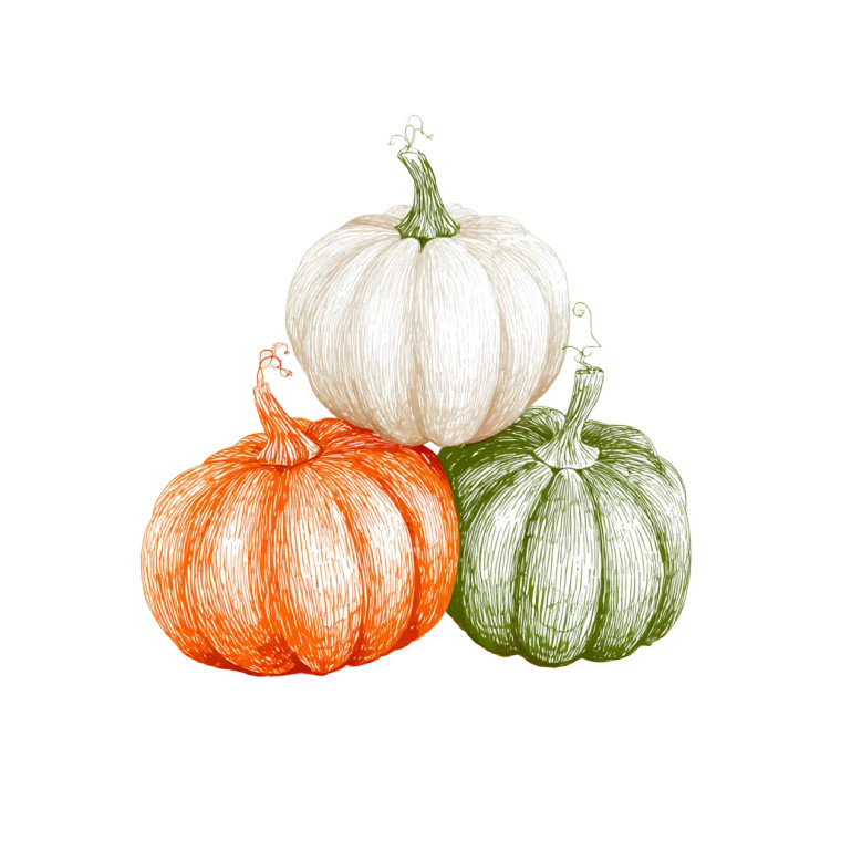 Pumpkin Pyramid Vinyl Car Decal Sticker – Waterproof & UV-Resistant 