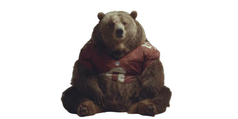 Uncomfortable Bear Vinyl Car Decal Sticker – Waterproof & UV-Resistant 