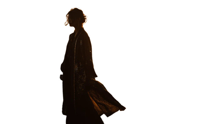 Japanese Influencer Silhouette Vinyl Car Decal Sticker – Waterproof & UV-Resistant 