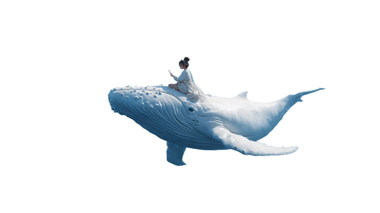 Whale Rider Dream Vinyl Car Decal Sticker – Waterproof & UV-Resistant 