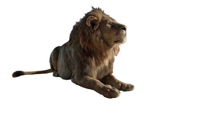 Moon Lion Vinyl Car Decal Sticker – Waterproof & UV-Resistant 