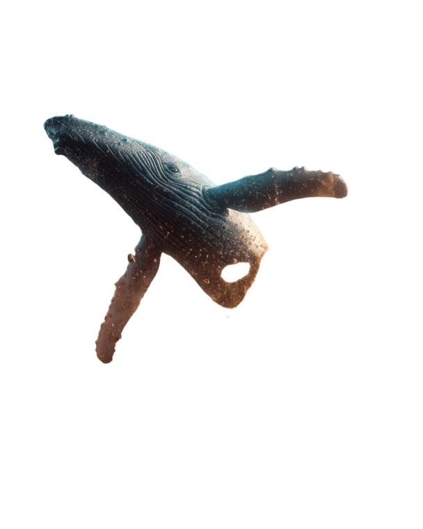 Desert Whale Breach Vinyl Car Decal Sticker – Waterproof & UV-Resistant 