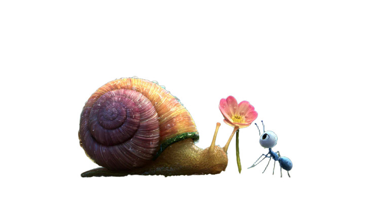 Snail And Ant V2 Vinyl Car Decal Sticker – Waterproof & UV-Resistant 