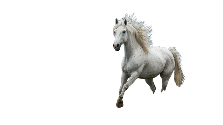 White Horse V3 Vinyl Car Decal Sticker – Waterproof & UV-Resistant 