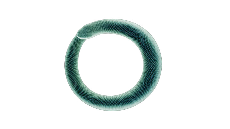 Abstract Ouroboros Serpent Vinyl Car Decal Sticker – Waterproof & UV-Resistant 