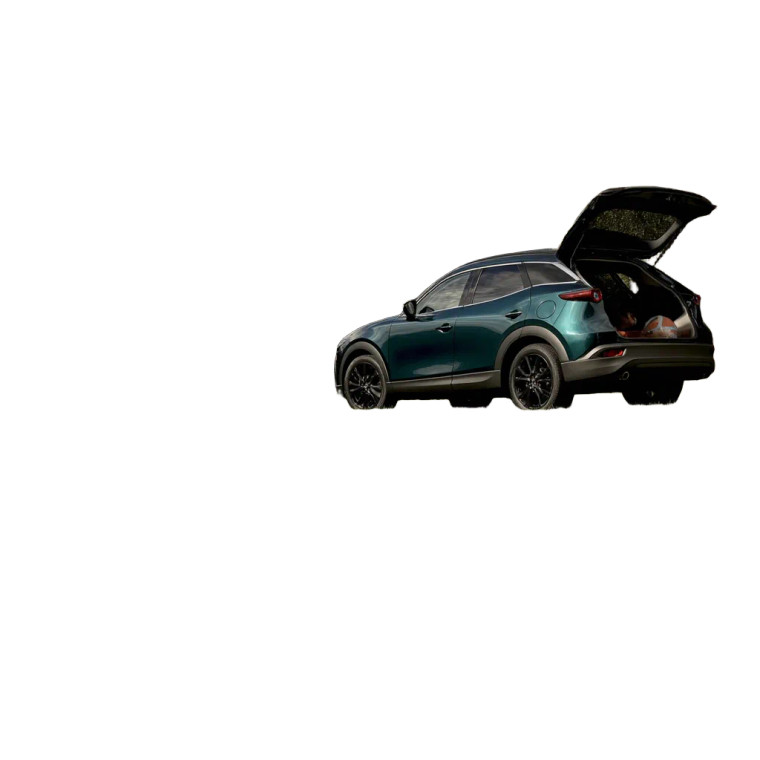 Family Camping Scene Vinyl Car Decal Sticker – Waterproof & UV-Resistant  Family Camping Scene Vinyl Car Decal Sticker – Waterproof & UV-Resistant