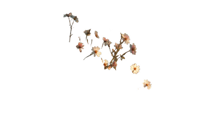 Blooming Concrete Flowers Vinyl Car Decal Sticker – Waterproof & UV-Resistant 