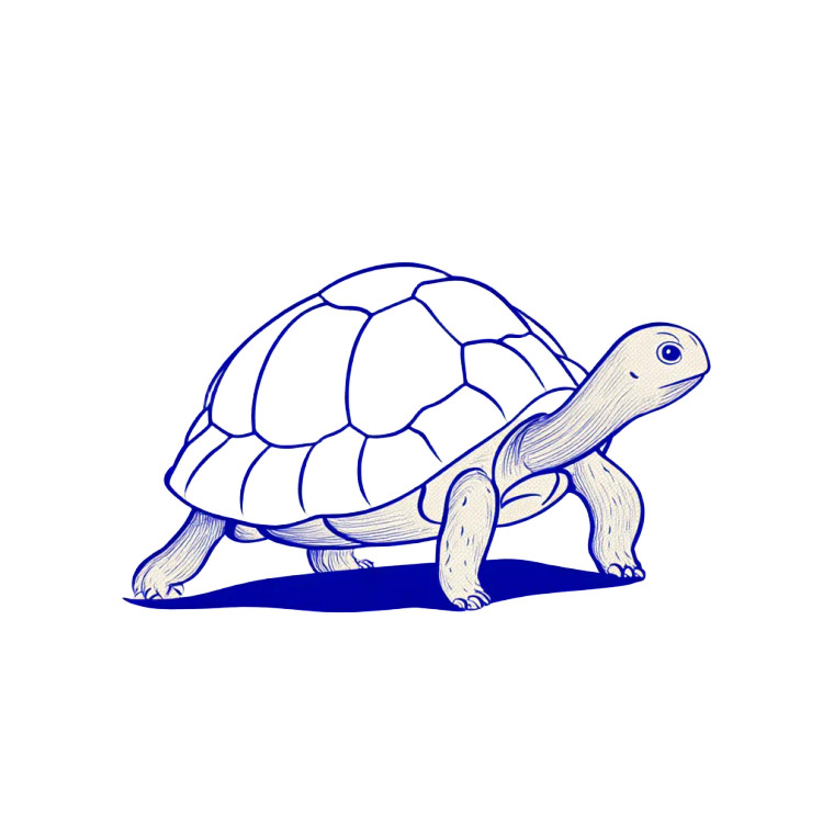 Animated Line Turtle Vinyl Car Decal Sticker – Waterproof & UV-Resistant 