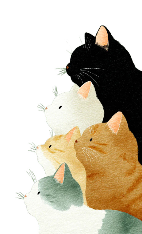 Stacked Cats Illustration Vinyl Car Decal Sticker – Waterproof & UV-Resistant 