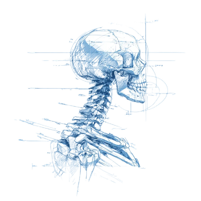 Abstract Skeleton Sketch Vinyl Car Decal Sticker – Waterproof & UV-Resistant 