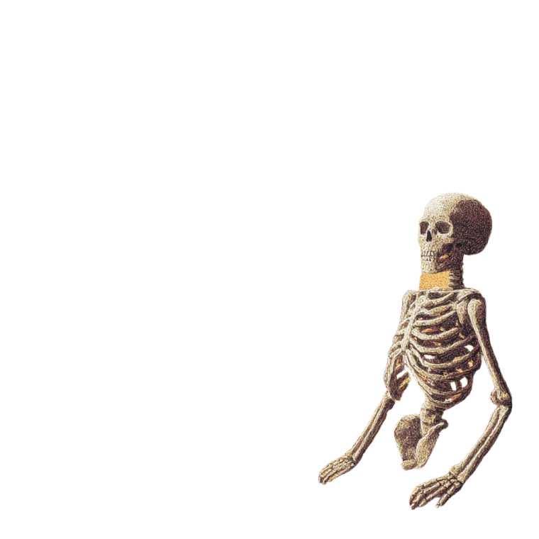 Cosmic Skeleton Portal Vinyl Car Decal Sticker – Waterproof & UV-Resistant 
