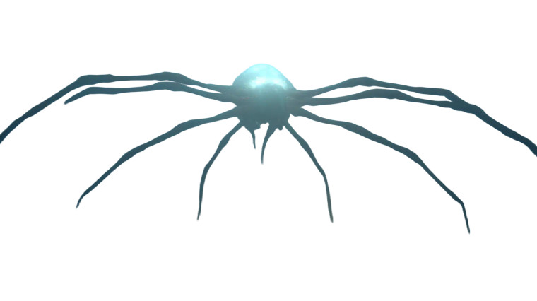 Winged Horror Spider V2 Vinyl Car Decal Sticker – Waterproof & UV-Resistant 