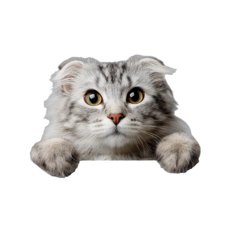 American Curl Cat Vinyl Car Decal Sticker – Waterproof & UV-Resistant 