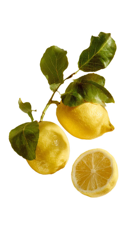 Sunlit Lemon Slices Vinyl Car Decal Sticker – Waterproof & UV-Resistant 