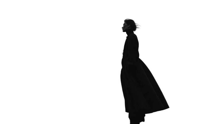 Elegant Woman Walking V7 Vinyl Car Decal Sticker – Waterproof & UV-Resistant 