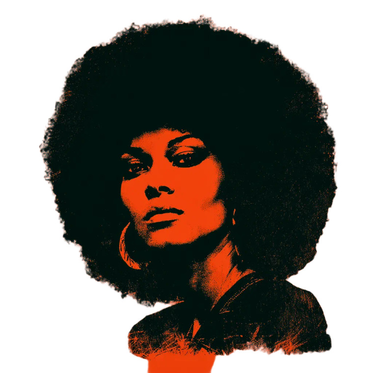 Angela Davis Portrait Vinyl Car Decal Sticker – Waterproof & UV-Resistant 