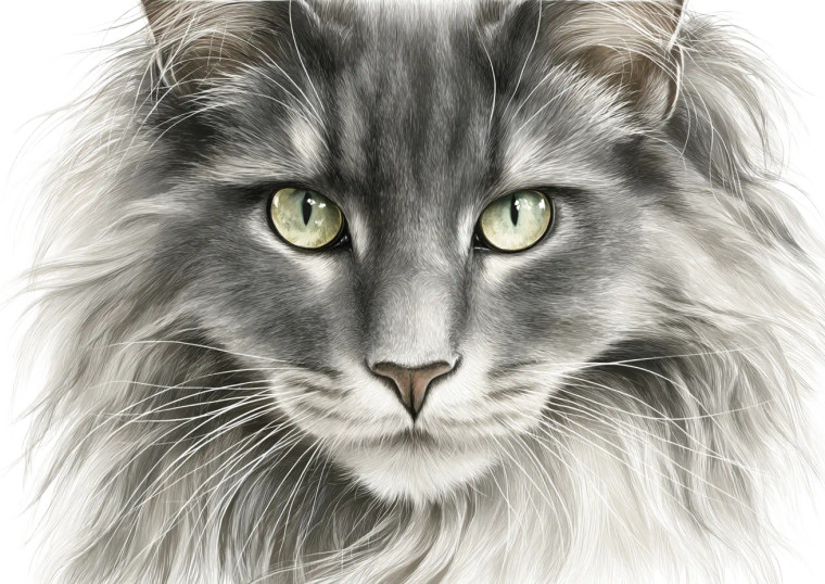 Gray Long-Haired Cat Vinyl Car Decal Sticker – Waterproof & UV-Resistant 